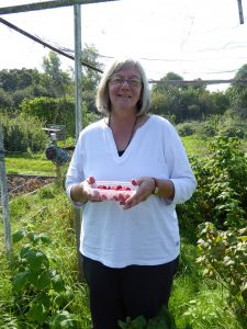 Mary raids the allotment