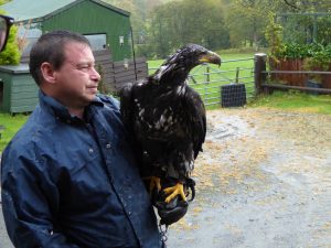 Barry - Falconry Experience, Machynlleth