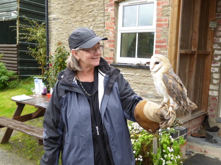 Falconry Experience, Machynlleth