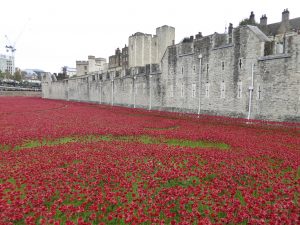 ‘Poppies of Remembrance’